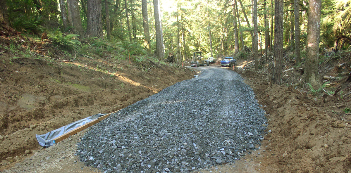 Gravel on dirt in forest